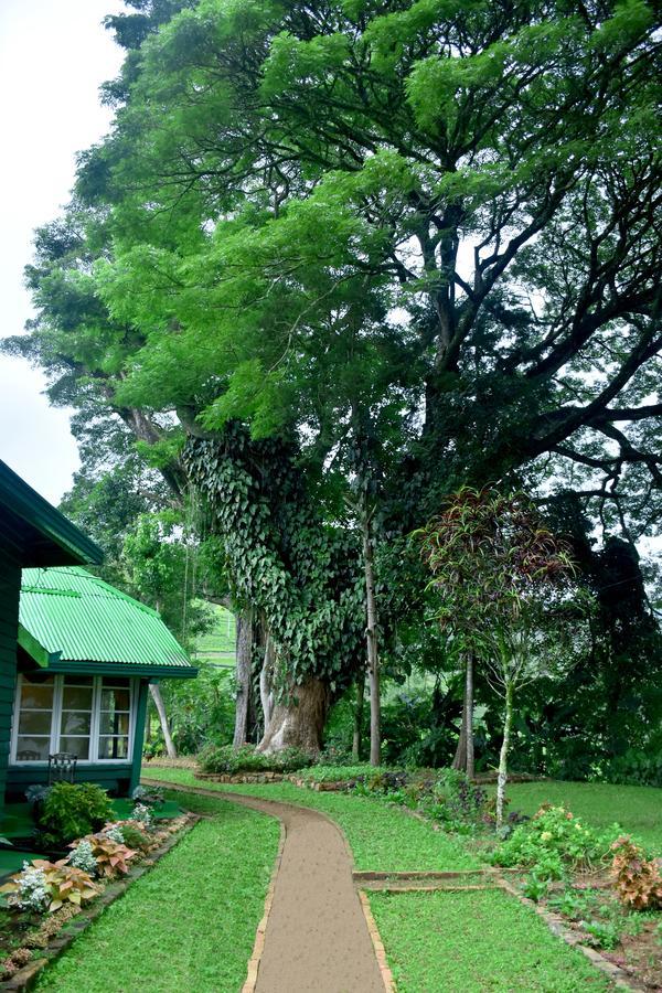 Royal Majesty Bungalow Hatton Esterno foto